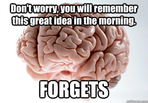 Don't worry, you will remember this great idea in the morning. FORGETS  - Don't worry, you will remember this great idea in the morning. FORGETS   Scumbag Brain