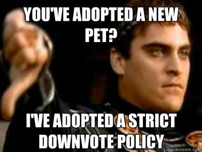 You've adopted a new pet? I've adopted a strict downvote policy - You've adopted a new pet? I've adopted a strict downvote policy  Downvoting Roman