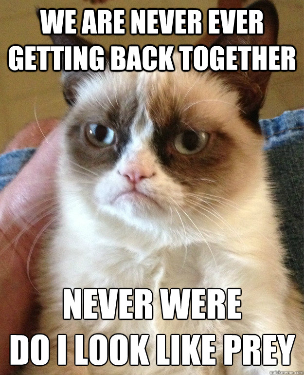 We Are Never EVer Getting Back Together Never Were 
Do I look like prey
  Grumpy Cat