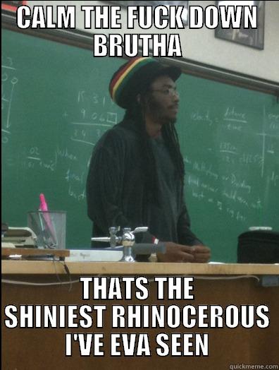 RASTA MAN - CALM THE FUCK DOWN BRUTHA THATS THE SHINIEST RHINOCEROUS I'VE EVA SEEN Rasta Science Teacher