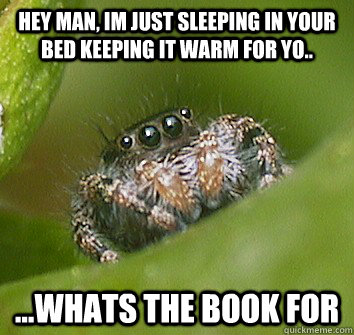 hey man, im just sleeping in your bed keeping it warm for yo.. ...whats the book for  Misunderstood Spider