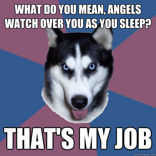 what do you mean, angels watch over you as you sleep? that's my job - what do you mean, angels watch over you as you sleep? that's my job  Creeper Canine