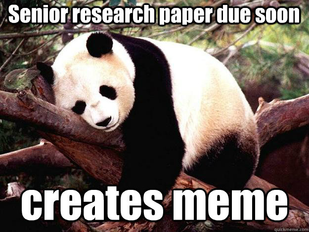 Senior research paper due soon creates meme  Procrastination Panda