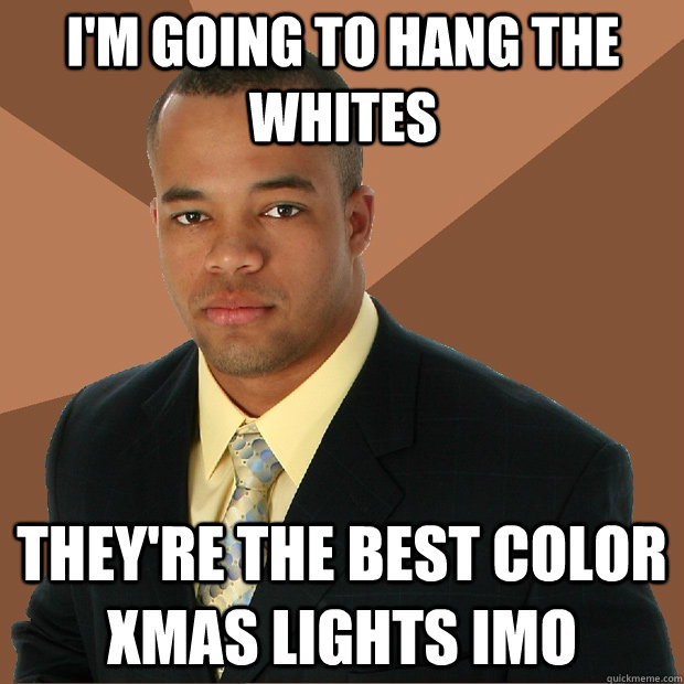 I'm going to hang the whites they're the best color xmas lights imo  Successful Black Man