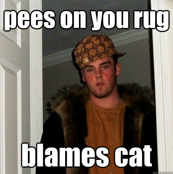 pees on you rug blames cat  Scumbag Steve