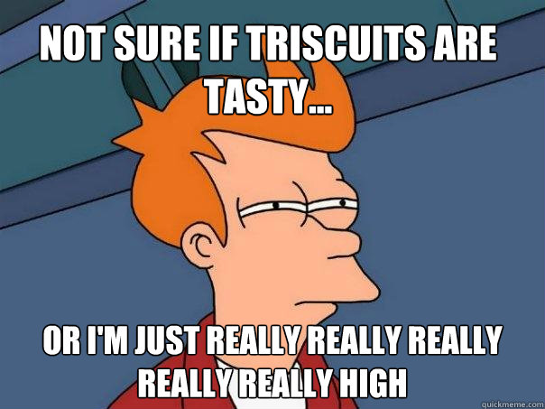 Not sure if triscuits are tasty... or i'm just really really really really really high  Futurama Fry