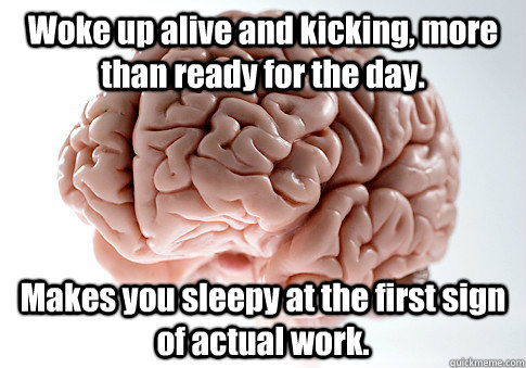 Woke up alive and kicking, more than ready for the day. Makes you sleepy at the first sign of actual work.  - Woke up alive and kicking, more than ready for the day. Makes you sleepy at the first sign of actual work.   Scumbag Brain