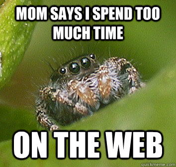 mom says i spend too much time on the web  Misunderstood Spider