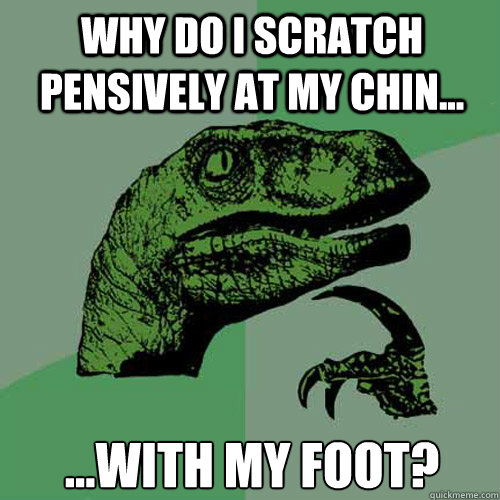 Why do I scratch pensively at my chin... ...with my foot?  Philosoraptor