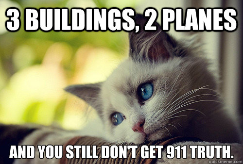 3 buildings, 2 planes 
and you still don't get 911 truth.  First World Problems Cat