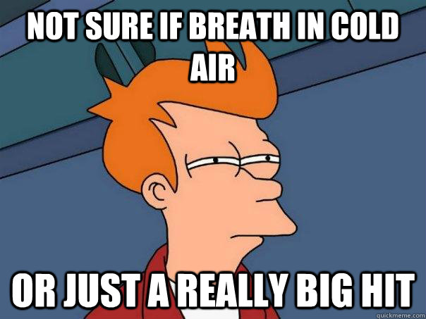 Not sure if breath in cold air Or just a really big hit  Futurama Fry