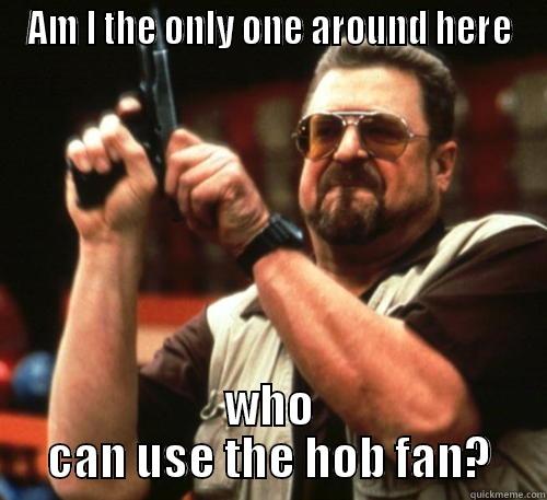 AM I THE ONLY ONE AROUND HERE WHO CAN USE THE HOB FAN? Am I The Only One Around Here