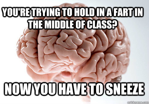 You're trying to hold in a fart in the middle of class? Now you have to sneeze  - You're trying to hold in a fart in the middle of class? Now you have to sneeze   Scumbag Brain