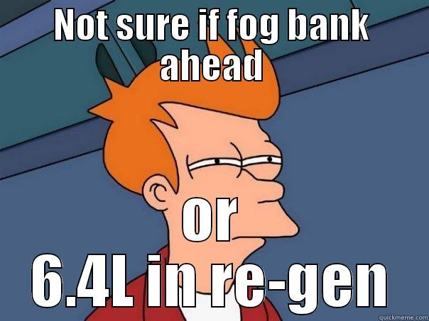 NOT SURE IF FOG BANK AHEAD OR 6.4L IN RE-GEN Futurama Fry