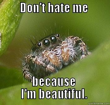          DON'T HATE ME            BECAUSE I'M BEAUTIFUL. Misunderstood Spider