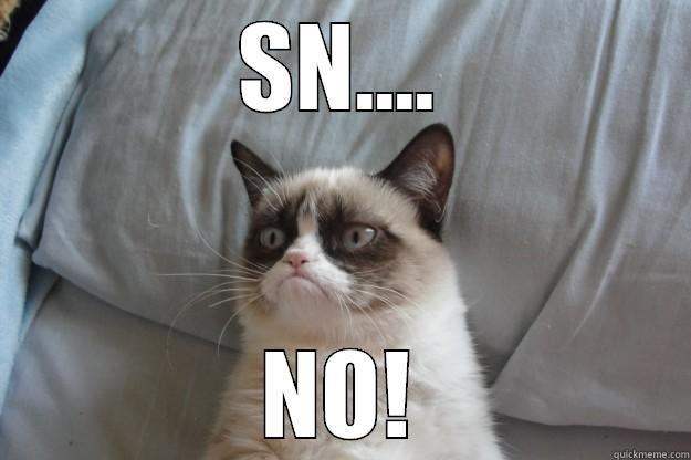 NO SNOW - SN.... NO! Grumpy Cat