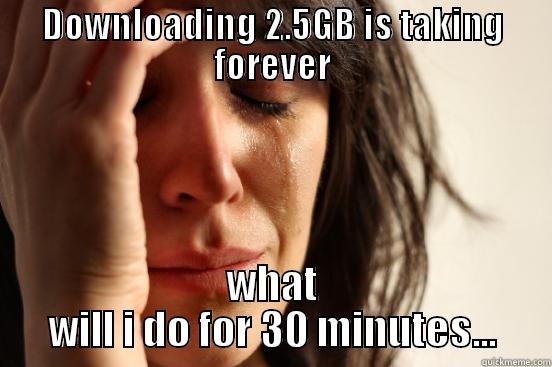 DOWNLOADING 2.5GB IS TAKING FOREVER WHAT WILL I DO FOR 30 MINUTES... First World Problems