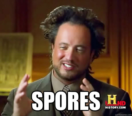   SPORES  Ancient Aliens