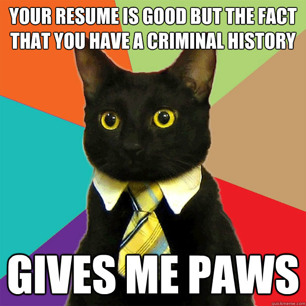 Your resume is good but The fact that you have a criminal history gives me paws  Business Cat