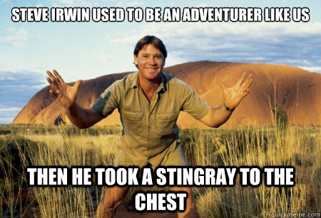 Steve Irwin used to be an adventurer like us Then he took a stingray to the chest - Steve Irwin used to be an adventurer like us Then he took a stingray to the chest  Terrible Steve