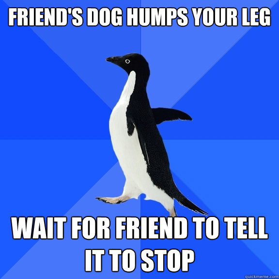 Friend's dog humps your leg Wait for friend to tell it to stop  Socially Awkward Penguin