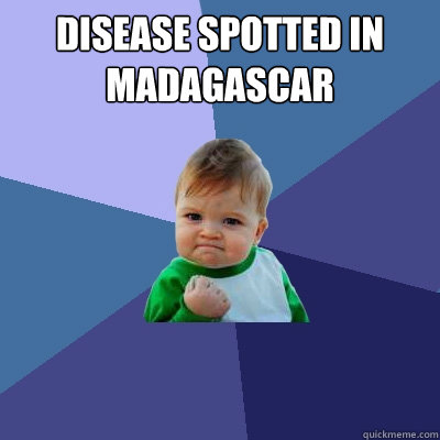 Disease spotted in madagascar   Success Kid