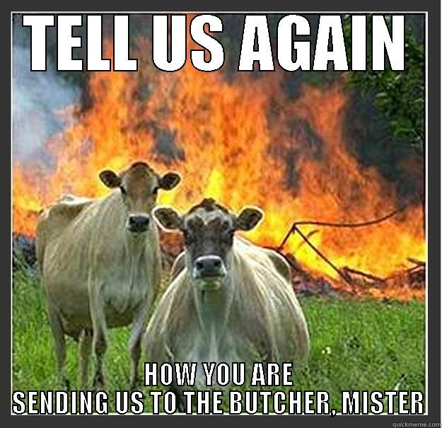 TELL US AGAIN HOW YOU ARE SENDING US TO THE BUTCHER, MISTER Evil cows