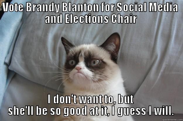 VOTE BRANDY BLANTON FOR SOCIAL MEDIA AND ELECTIONS CHAIR I DON'T WANT TO, BUT SHE'LL BE SO GOOD AT IT, I GUESS I WILL. Grumpy Cat