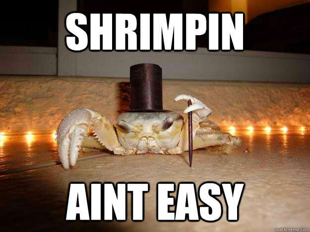 shrimpin aint easy  Fancy Crab