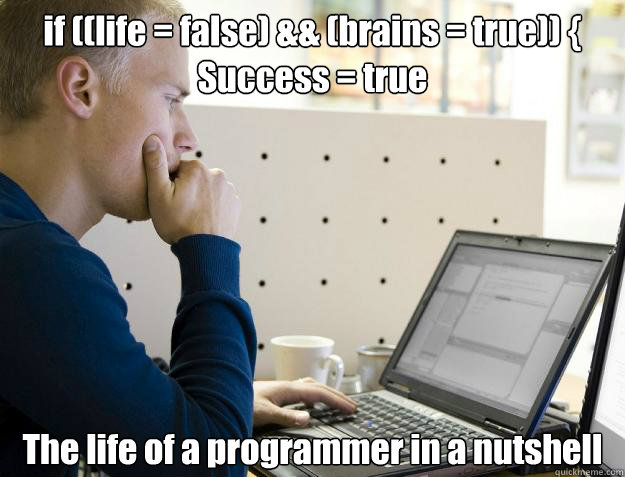 if ((life = false) && (brains = true)) {
Success = true
 The life of a programmer in a nutshell  Programmer