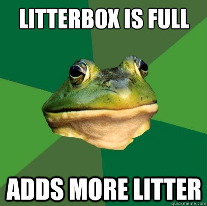 litterbox is full adds more litter - litterbox is full adds more litter  Foul Bachelor Frog