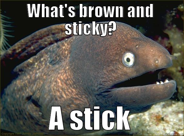 a stick - WHAT'S BROWN AND STICKY? A STICK Bad Joke Eel