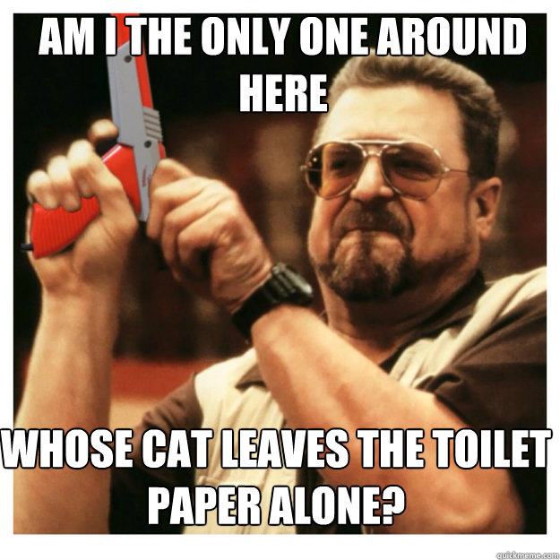 am i the only one around here Whose cat leaves the toilet paper alone?  John Goodman