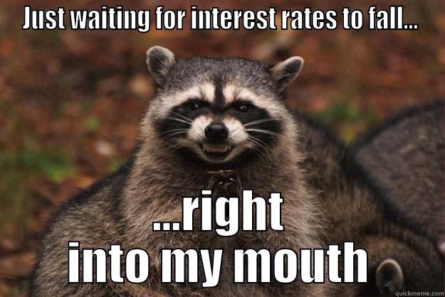 Where's the yield? - JUST WAITING FOR INTEREST RATES TO FALL... ...RIGHT INTO MY MOUTH Evil Plotting Raccoon