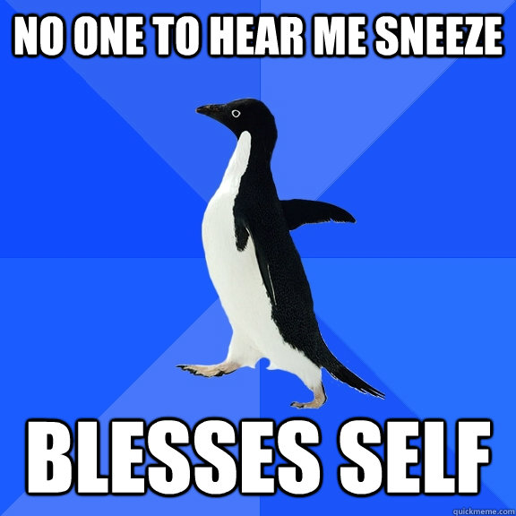 NO ONE TO HEAR ME SNEEZE BLESSES SELF  Socially Awkward Penguin