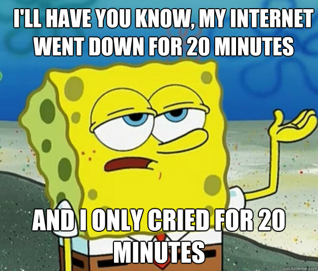 I'll have you know, my internet went down for 20 minutes And I only cried for 20 minutes  