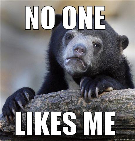 NO ONE LIKES ME Confession Bear