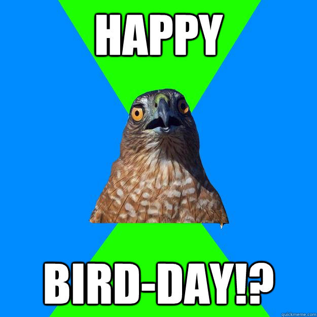 HAPPY BIRD-DAY!? - HAPPY BIRD-DAY!?  Hawkward Hawk