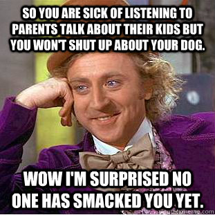 So you are sick of listening to parents talk about their kids but you won't shut up about your dog. Wow I'm surprised no one has smacked you yet.  - So you are sick of listening to parents talk about their kids but you won't shut up about your dog. Wow I'm surprised no one has smacked you yet.   Condescending Wonka