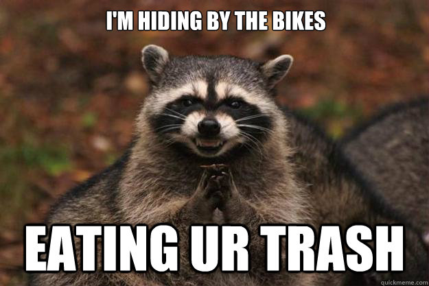 I'm hiding by the bikes eating ur trash  Evil Plotting Raccoon