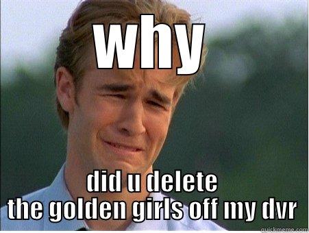 WHY DID U DELETE THE GOLDEN GIRLS OFF MY DVR 1990s Problems