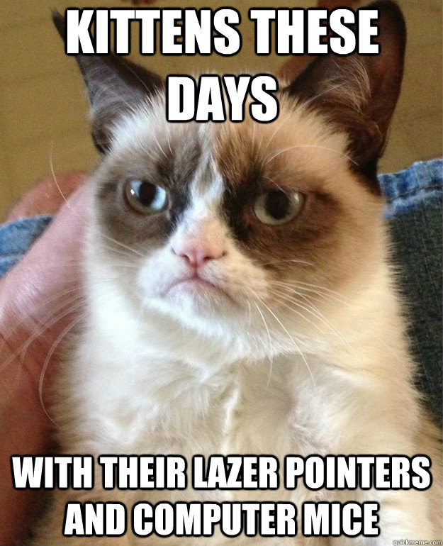 kittens these days with their lazer pointers and computer mice  Grumpy Cat