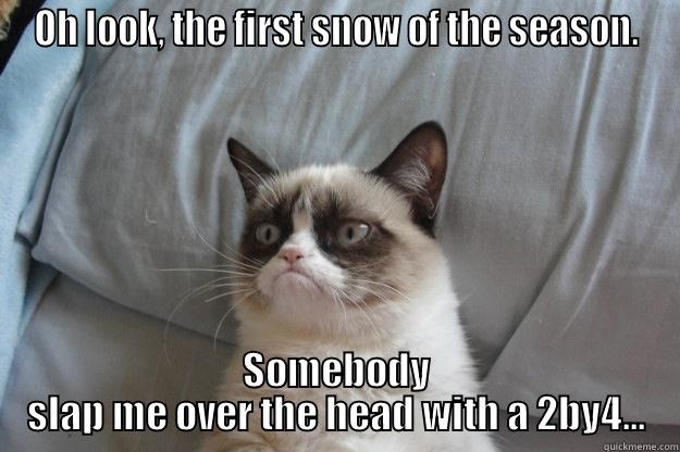 I hate snow - OH LOOK, THE FIRST SNOW OF THE SEASON. SOMEBODY SLAP ME OVER THE HEAD WITH A 2BY4... Grumpy Cat