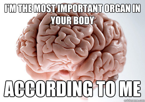 I'M THE MOST IMPORTANT ORGAN IN YOUR BODY ACCORDING TO ME   Scumbag Brain