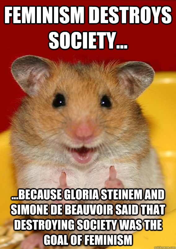 feminism destroys society...  ...because Gloria Steinem and simone de beauvoir said that destroying society was the goal of feminism   Rationalization Hamster