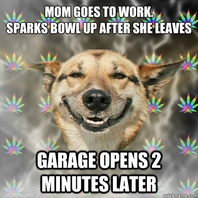 mom goes to work.
sparks bowl up after she leaves garage opens 2 minutes later  Stoner Dog