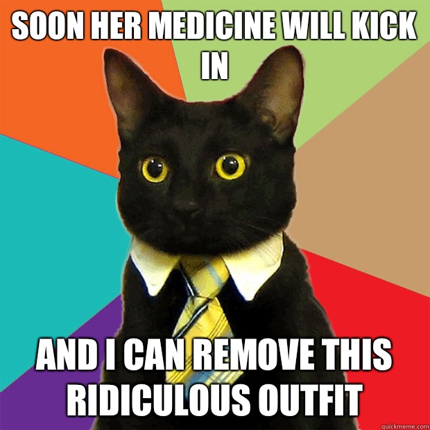 Soon her medicine will kick in And I can remove this ridiculous outfit  Business Cat