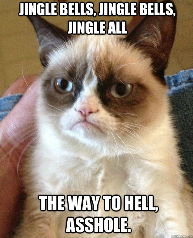 jINGLE BELLS, JINGLE BELLS, JINGLE ALL THE WAY TO HELL, ASSHOLE.  Grumpy Cat