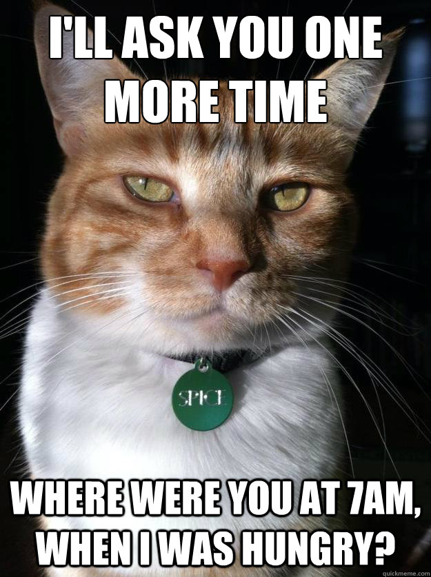 I'll ask you one more time where were you at 7am, when i was hungry? - I'll ask you one more time where were you at 7am, when i was hungry?  Interrogator