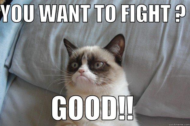 YOU WANT TO FIGHT ?  GOOD!! Grumpy Cat